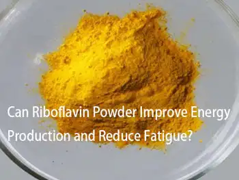 Can Riboflavin Powder Improve Energy Production and Reduce Fatigue?
